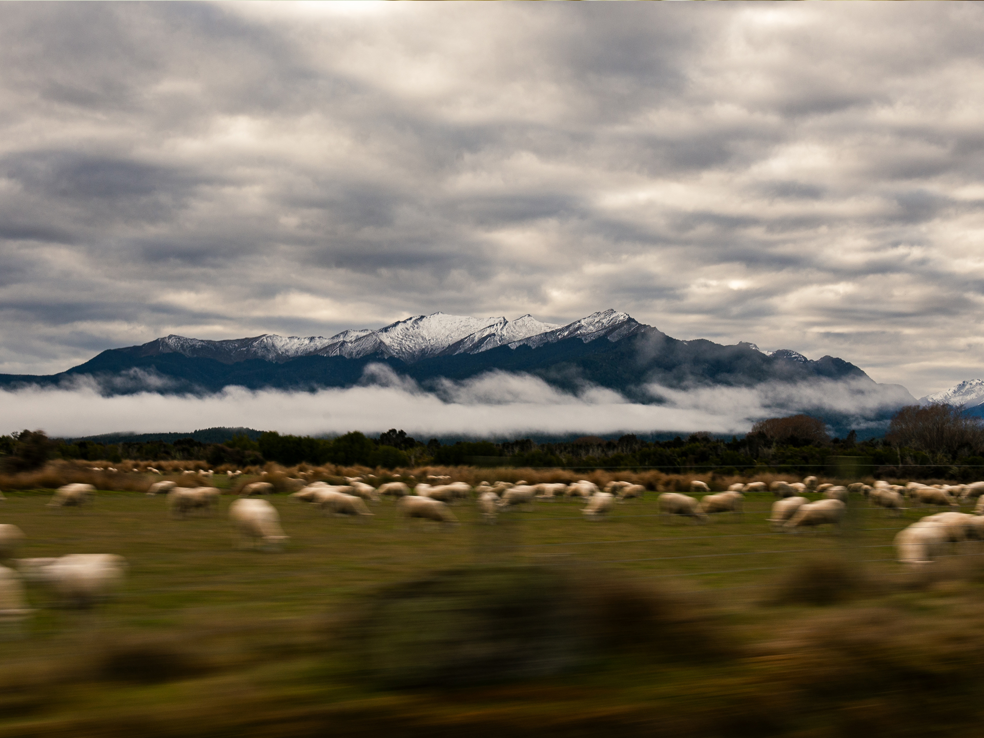 New Zealand by Jack Gamble Photo and Video